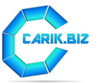 IT-Beratung Carik